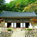 1339 Daum카페
