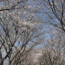 광의면사무소 이미지