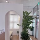 에이치메디 이미지