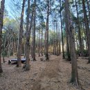 서귀포자연휴양림3 이미지