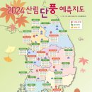 2024년 산림 단풍 예측 지도 이미지