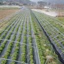 미사랑농장 이미지