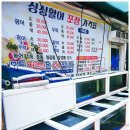 싱싱활어도매