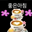 편한의료기 Daum카페