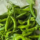 강회농장 이미지