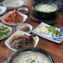 헤밍웨이 곰집