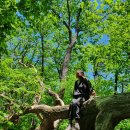 곰배스테이 이미지