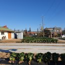 신궁1리마을회관 이미지