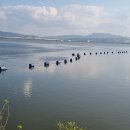 대안4리경로당 이미지