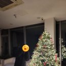 가평 커플 스파펜션 화이트큐브24 503호 후기