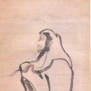 연담 이미지