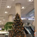 대유목장 이미지