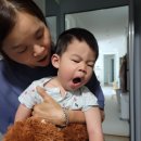 느티나무집(장릉후문) | 16개월 육아일기 안양예술공원 안양수목원 예방접종