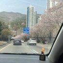 민기축산 | 4월 첫째 주 일상