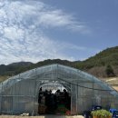 동막상회
