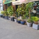 석지혜산부인과  의원 이미지