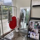 해피니언 강남모나코 성현 디자이너 뿌리펌 후기