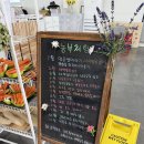 다들바위 치유농장 | 지치고 바쁜 일상 자연에서 치유하자, 치유농장 뒤란