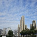 삼일전기조명 - 북구 설죽로 569 | 중국 우한 호텔 후기 컨트리 인 앤 스위트 바이 래디슨