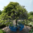 강나루생태공원 이미지