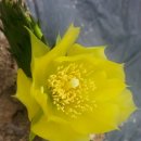 정열농장 이미지