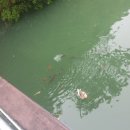 초읍어린이대공원 무료급식소 이미지