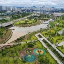 케이트리 K-TREE 이미지