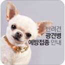 광명시티동물병원 이미지