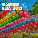 갈맷길3-3구간 | [부산 갈맷길 6코스 3구간] 주례정-선암사-어린이대공원(트레일러닝, 백양산 숲길 마라톤, 백양산 맨발...