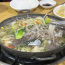 오륙도낙지 티스토리