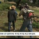 성일조경