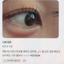 아이원성형외과 | 아이원잇 미사본점에서 만난 미사눈썹
