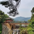 보람관광 이미지