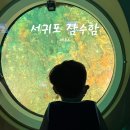 (주)제주해적잠수함 | 제주도 아이랑 이색체험 서귀포잠수함 체험 솔직후기