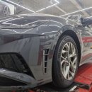 W 타이어 이미지