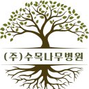 나무병원건강한숲 이미지