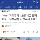 "부산, 거리두기 1.5단계로 조정 예정…유흥시설 집합금지 해제" 이미지