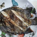약산면-5 Daum카페