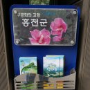 수타사 용담 공중화장실(큰거) | 강원도 홍천 역사의 숨결이 살아 숨 쉬는 문화유적 공작산 수타사