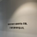 24인치의원 | 결혼 준비 다시 시작! 셀리데이의원 복부지방분해주사 + 바디온다 후기