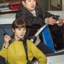 시그널 이미지