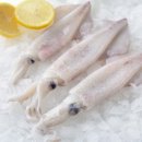 한치로2 이미지