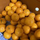 하원농장 이미지