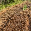 예운농장 이미지