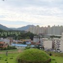 도곡4리 Daum카페