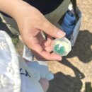 오천로 | 정원이 예쁜 경기도 이천 대형카페 어바웃네이처 내돈내산 솔직후기