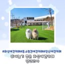 15kg미만 강아지들이 뛰어놀기 좋은 화성애견카페 댕코리아