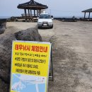 제주배낚시체험전진호 | 제주도 낚시 체험(테우낚시)과 제주 마린파크 이용 솔직 후기