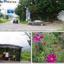 축령산입구버스정류장[외방-1] Daum카페