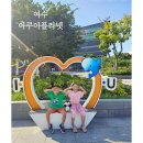핑크벨루가 | 여수 아쿠아플라넷 가격 할인 주차장 벨루가 구경후기